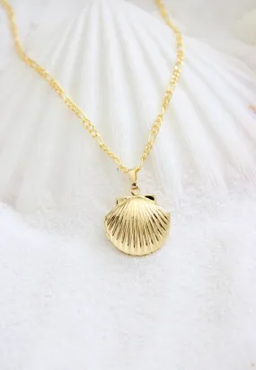 Locket Sea Shell Gold Plated Necklace
